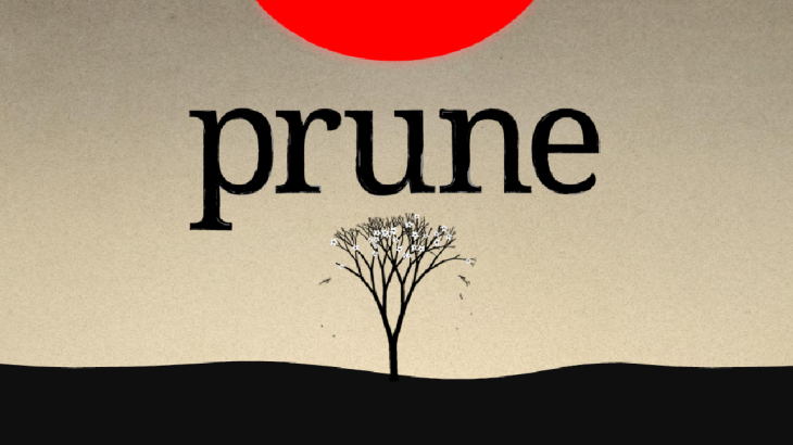 修剪艺术 Prune - 游戏机迷 | 游戏评测