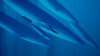 ABZU-令人心旷神怡的海洋之旅- 游戏发现- 游戏机迷 | 游戏评测