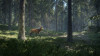 猎人：野性的呼唤-《猎人：荒野的呼唤》：在丛林中漫步，也在丛林中被洗礼。- 游戏发现- 游戏机迷 | 游戏评测