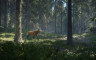猎人：野性的呼唤 - 游戏机迷 | 游戏评测