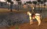 骑马与砍杀：战团 - 游戏机迷 | 游戏评测
