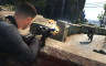 狙击精英5 - 游戏机迷 | 游戏评测