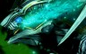 最终幻想：纷争NT - 游戏机迷 | 游戏评测