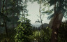 森林 - 游戏机迷 | 游戏评测