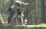 最后的守护者 The Last Guardian - 游戏机迷 | 游戏评测