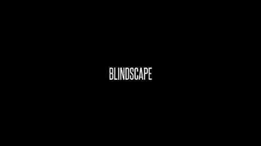 盲景 Blindscape - 游戏机迷 | 游戏评测