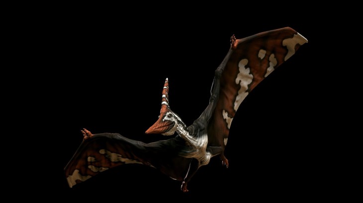 Primal Carnage - Experimental Dinosaur Skin Pack 2 - 游戏机迷 | 游戏评测