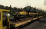 Train Simulator: The Alaska Railroad: Anchorage - Seward Route Add-On - 游戏机迷 | 游戏评测