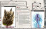 Fantasy Grounds - 5E: Beasts of Legend - Coldwood Codex - 游戏机迷 | 游戏评测