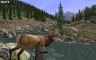 Elk Adventure Pack - 游戏机迷 | 游戏评测