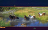 Pixel Puzzles Ultimate - Puzzle Pack: Horses - 游戏机迷 | 游戏评测