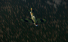 IL-2 Sturmovik: Yak-1b Collector Plane - 游戏机迷 | 游戏评测