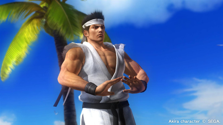 DEAD OR ALIVE 5 Last Round: Core Fighters Character: Akira - 游戏机迷 | 游戏评测