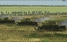 Graviteam Tactics: Drive on Voronezh - 游戏机迷 | 游戏评测