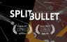 SPLIT BULLET Original Soundtrack - 游戏机迷 | 游戏评测