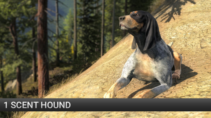 theHunter: Scent Hound Pack - 游戏机迷 | 游戏评测