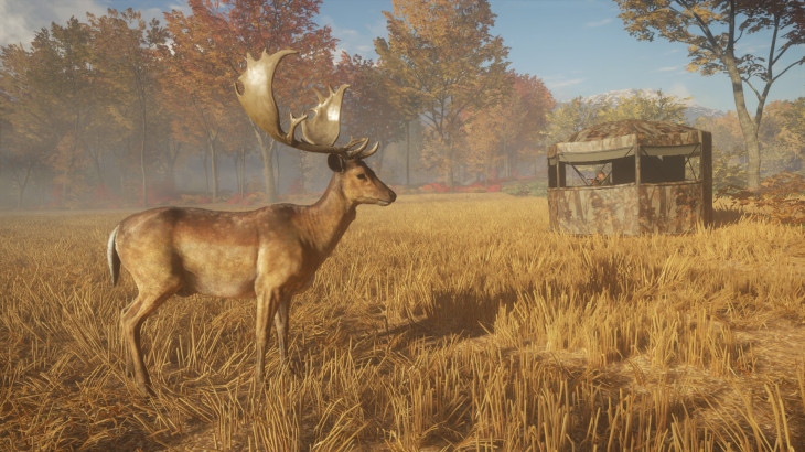 theHunter™: Call of the Wild - Tents & Ground Blinds - 游戏机迷 | 游戏评测