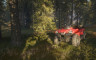 theHunter™: Call of the Wild - ATV SABER 4X4 - 游戏机迷 | 游戏评测