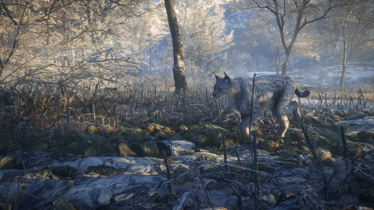 theHunter™: Call of the Wild - Medved-Taiga - 游戏机迷 | 游戏评测