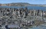 FSX Steam Edition: US Cities X: San Francisco Add-On - 游戏机迷 | 游戏评测