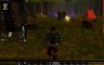 Neverwinter Nights: Wyvern Crown of Cormyr - 游戏机迷 | 游戏评测