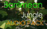 Barrimean Jungle |AUDIO PACK| - 游戏机迷 | 游戏评测