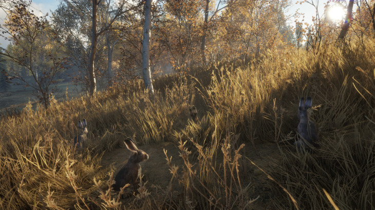 theHunter™: Call of the Wild - New Species 2018 - 游戏机迷 | 游戏评测