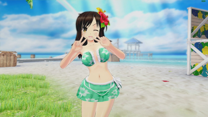 SENRAN KAGURA Peach Beach Splash - Awakened Character Pack - 游戏机迷 | 游戏评测