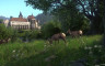 Kingdom Come: Deliverance - HD Sound Pack - 游戏机迷 | 游戏评测