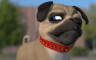 FaceRig Julien the Pug Avatar - 游戏机迷 | 游戏评测