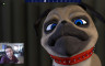 FaceRig Julien the Pug Avatar - 游戏机迷 | 游戏评测