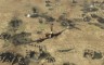 Sudden Strike 4 - Africa: Desert War - 游戏机迷 | 游戏评测