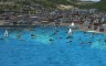 FSX Steam Edition: Ajaccio Add-On - 游戏机迷 | 游戏评测