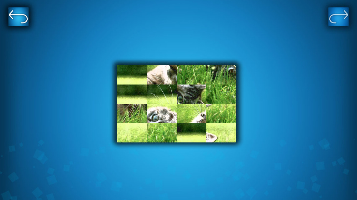 PUZZLE: CATS & DOGS - Puzzle Pack: Summer Cats - 游戏机迷 | 游戏评测