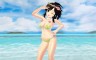 SENRAN KAGURA Peach Beach Splash - Sunshine Swimsuit Pack - 游戏机迷 | 游戏评测