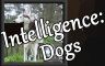 Intelligence: Dogs - OST - 游戏机迷 | 游戏评测