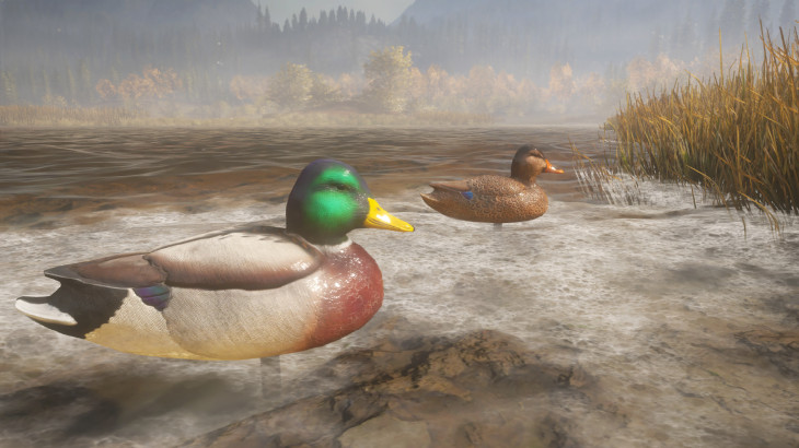 theHunter™: Call of the Wild - Duck and Cover Pack - 游戏机迷 | 游戏评测