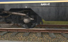 Trainz 2019 DLC - Rheingold 1962 - 游戏机迷 | 游戏评测