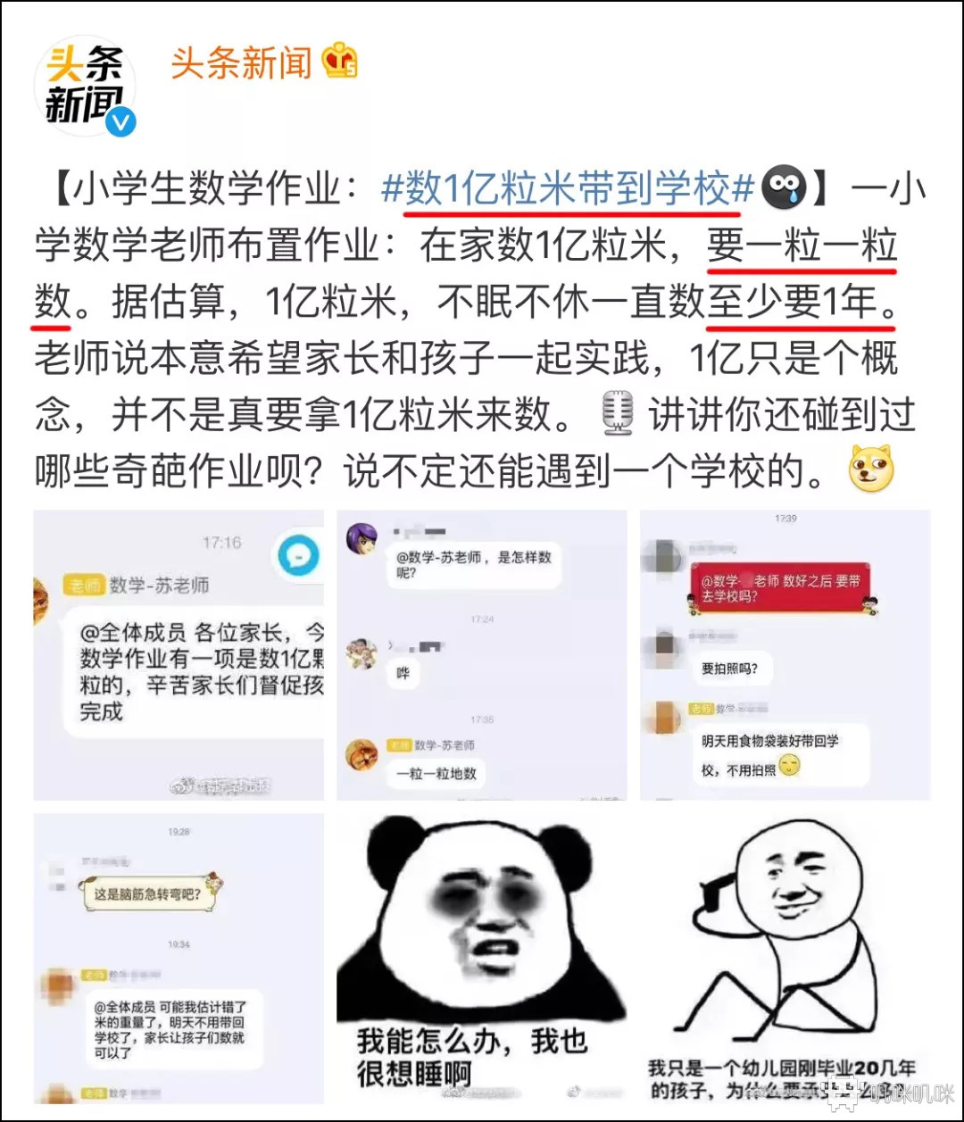 作业疯了游戏评测20210811010